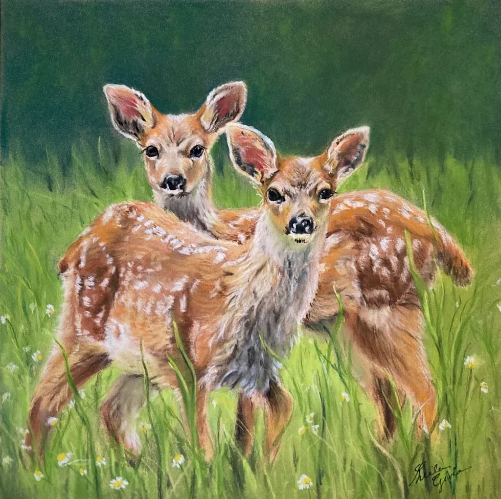 Double Trouble Fawns