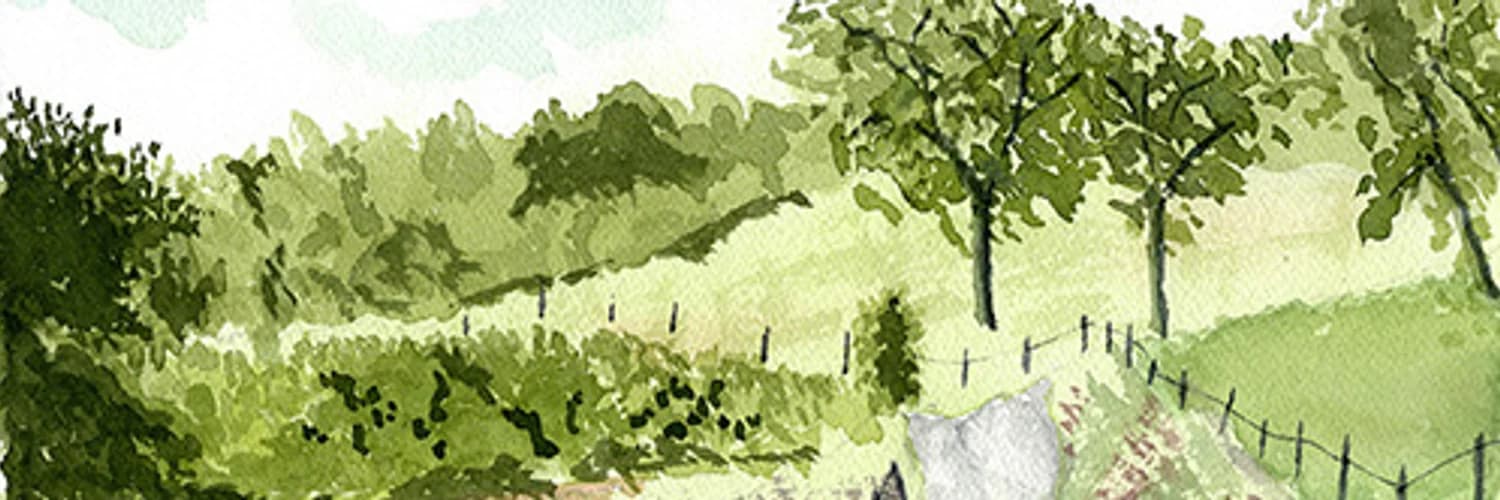 Banner del perfil