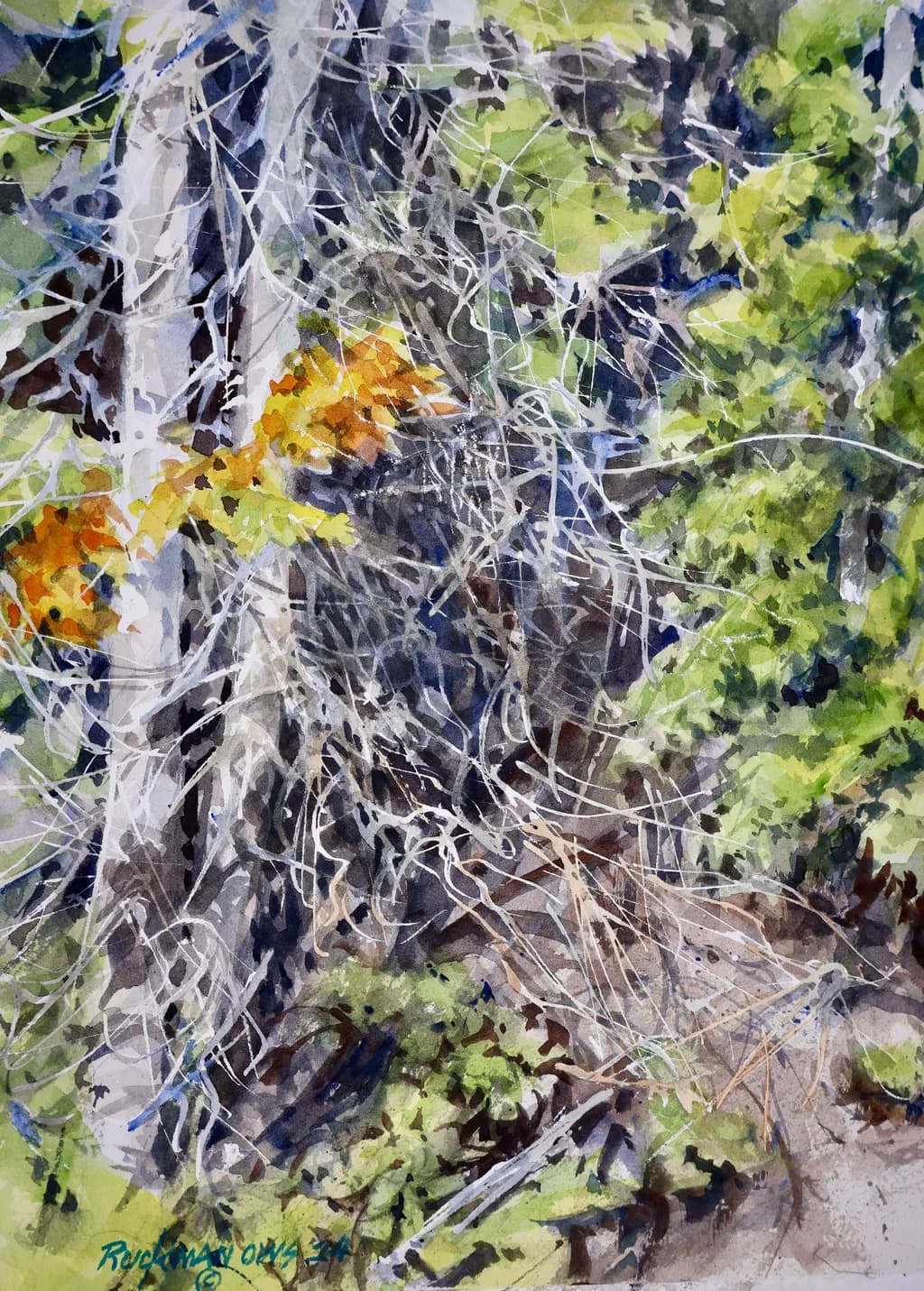 Tangled Thicket