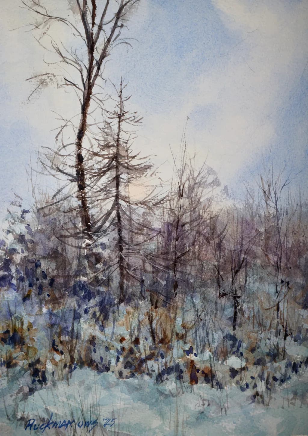 Winter Thicket