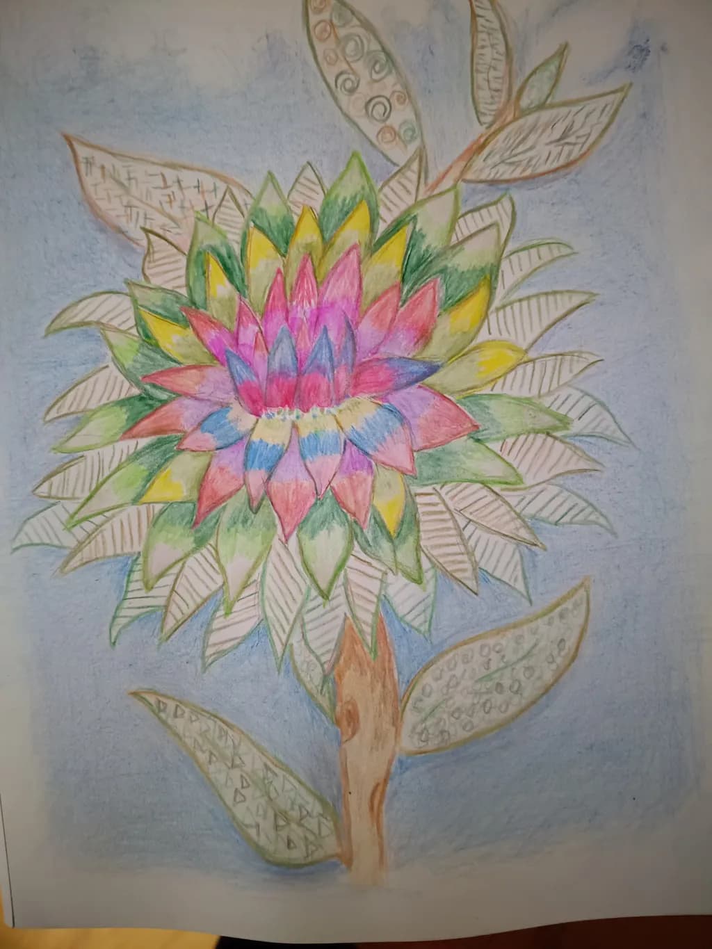 Chromatic Bloom
