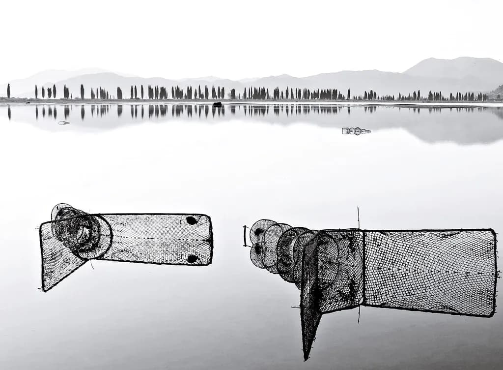 Lakeside Reflections
