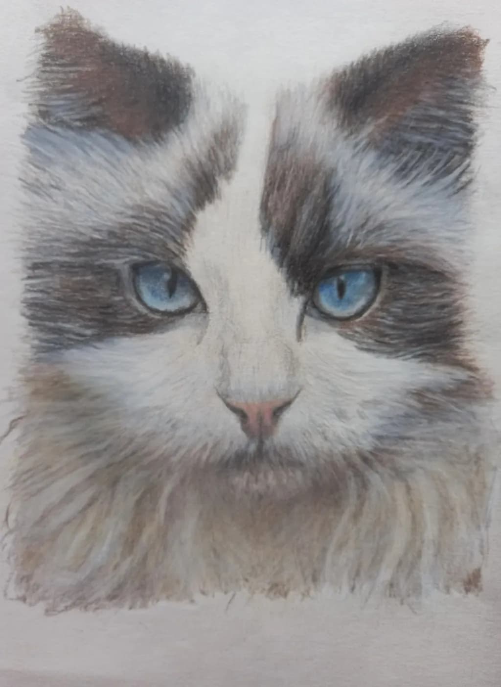 Blue Gaze