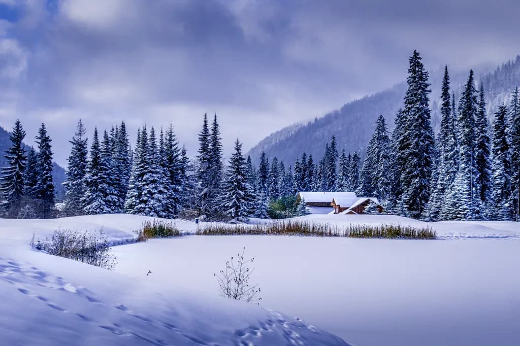 A Winter's Tale: Finding Peace in a Snow-Covered Cabin Retreat