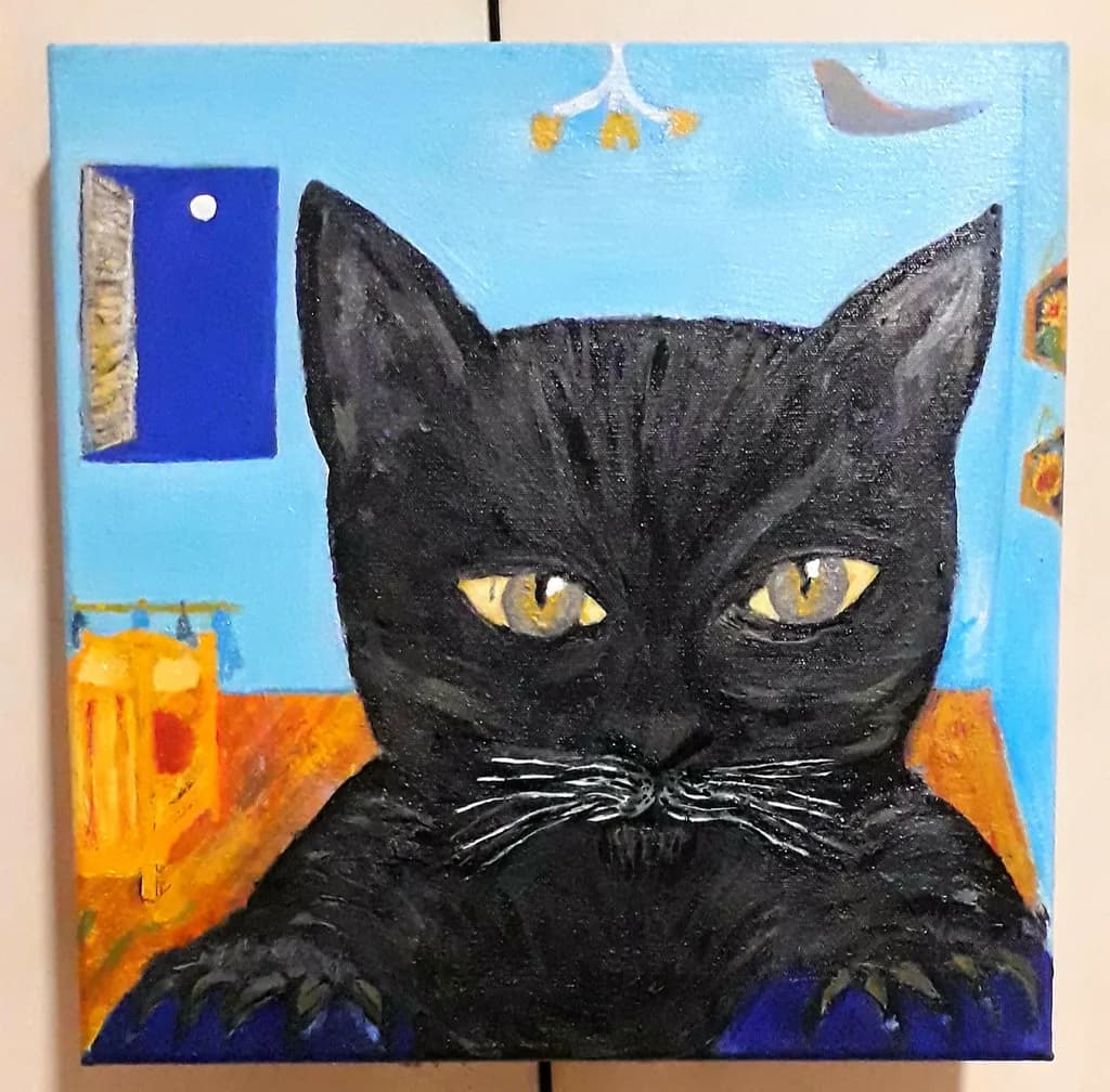 Midnight Gaze