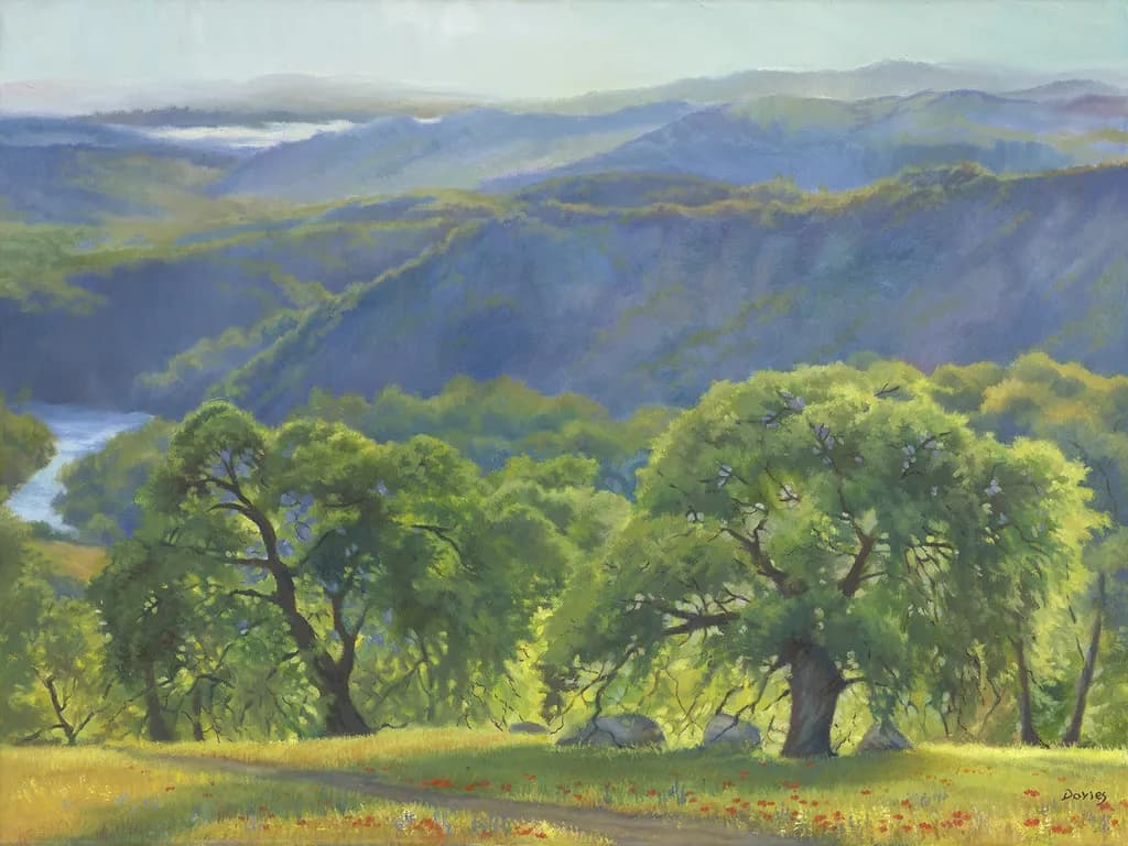 Valley Oaks and Hills