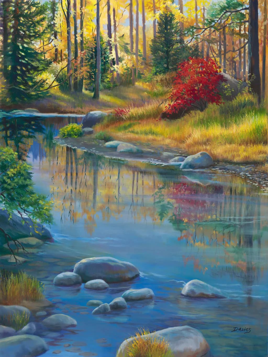 Forest Stream Reflection