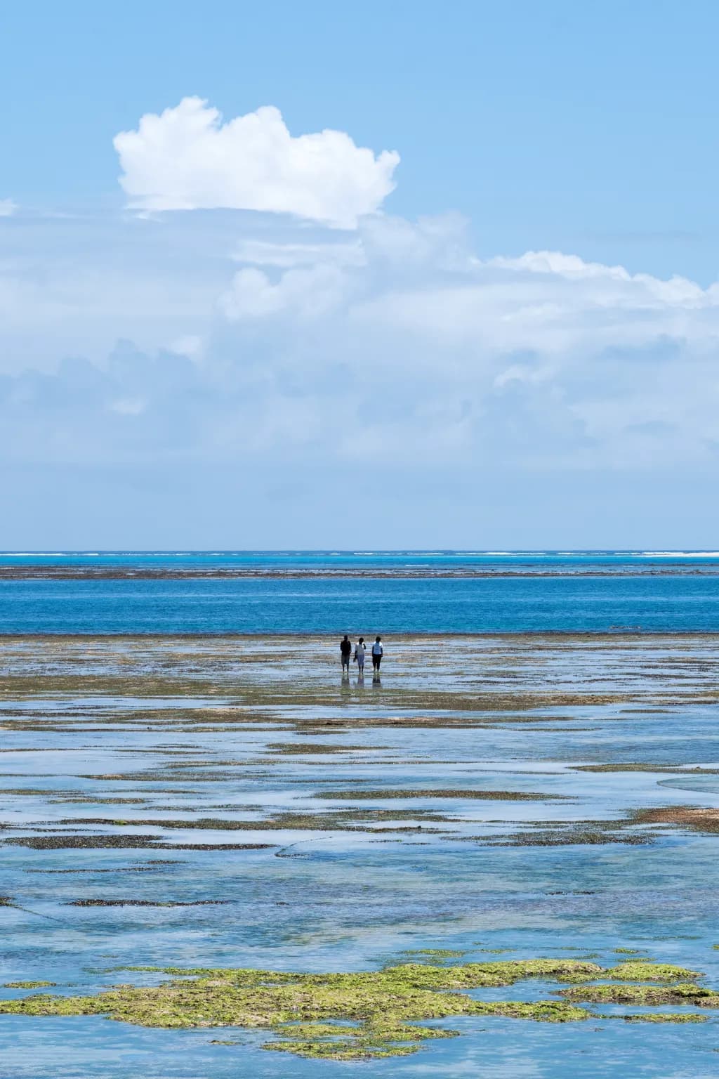 Tidal Walk