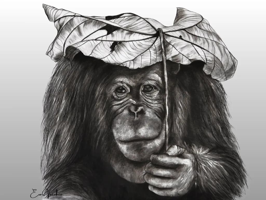 Orangutan The Way of Animal Powers