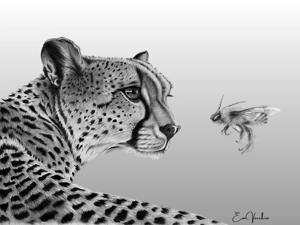 The Way of Animal Powers