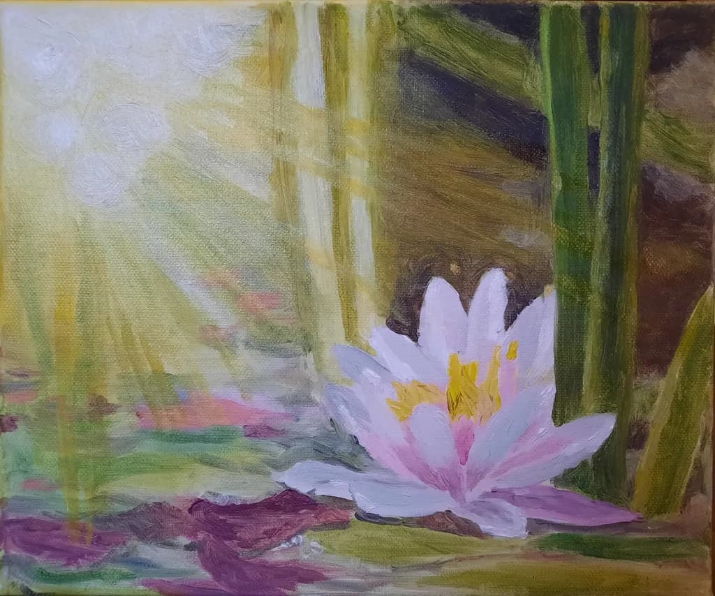 Lotus Light