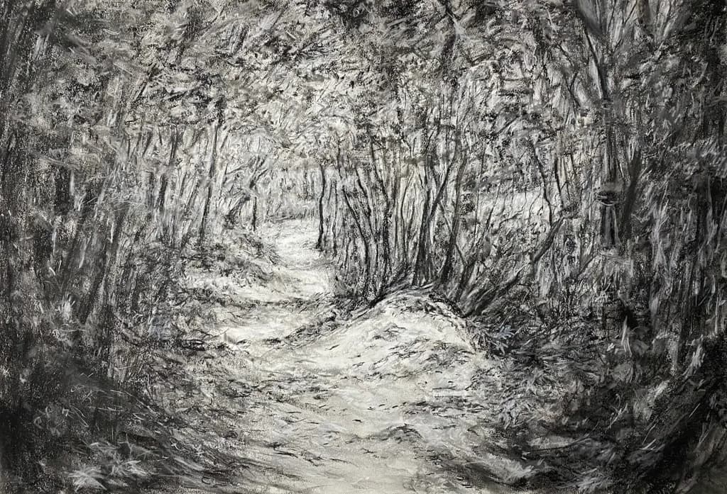 Forest Pathway