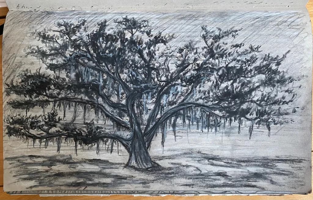 Moss-Draped Oak