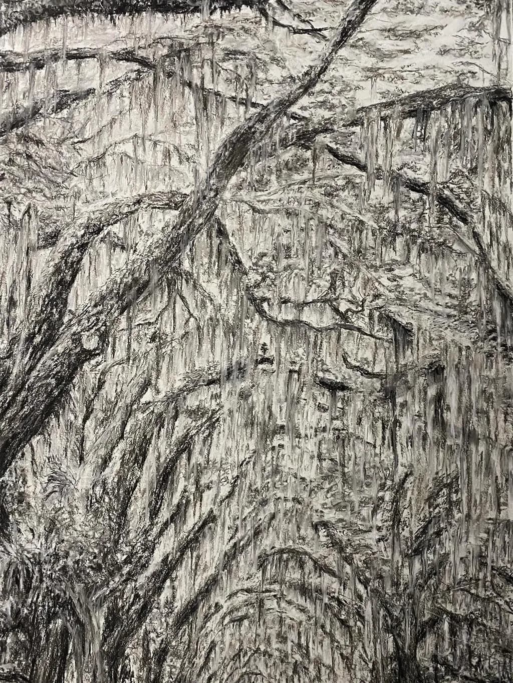 Moss-Draped Trees