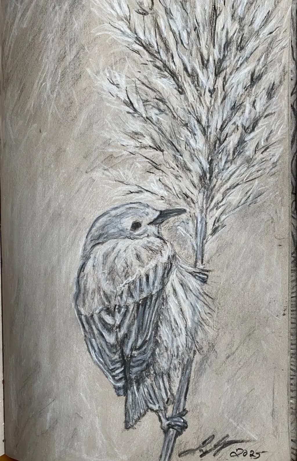Bird on Reed