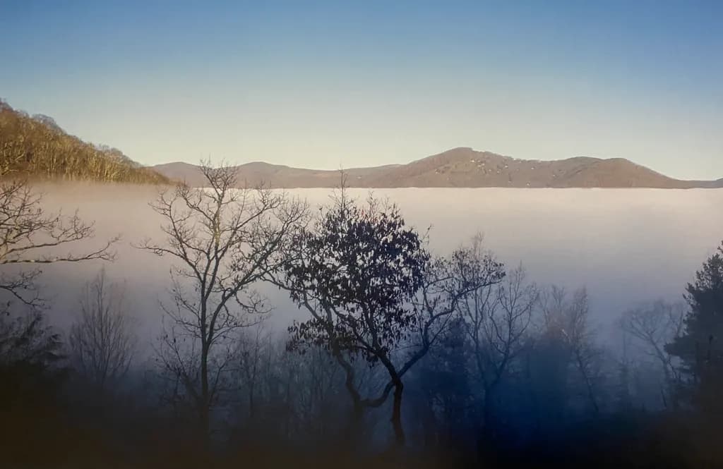 Foggy Mountain Trees