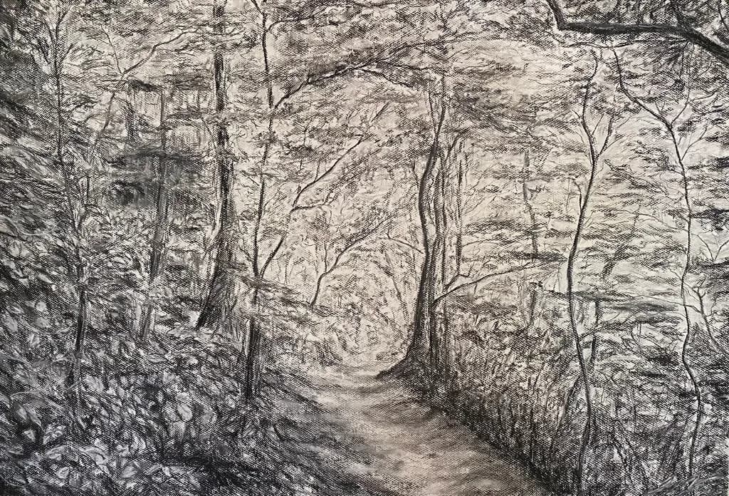 Forest Pathway