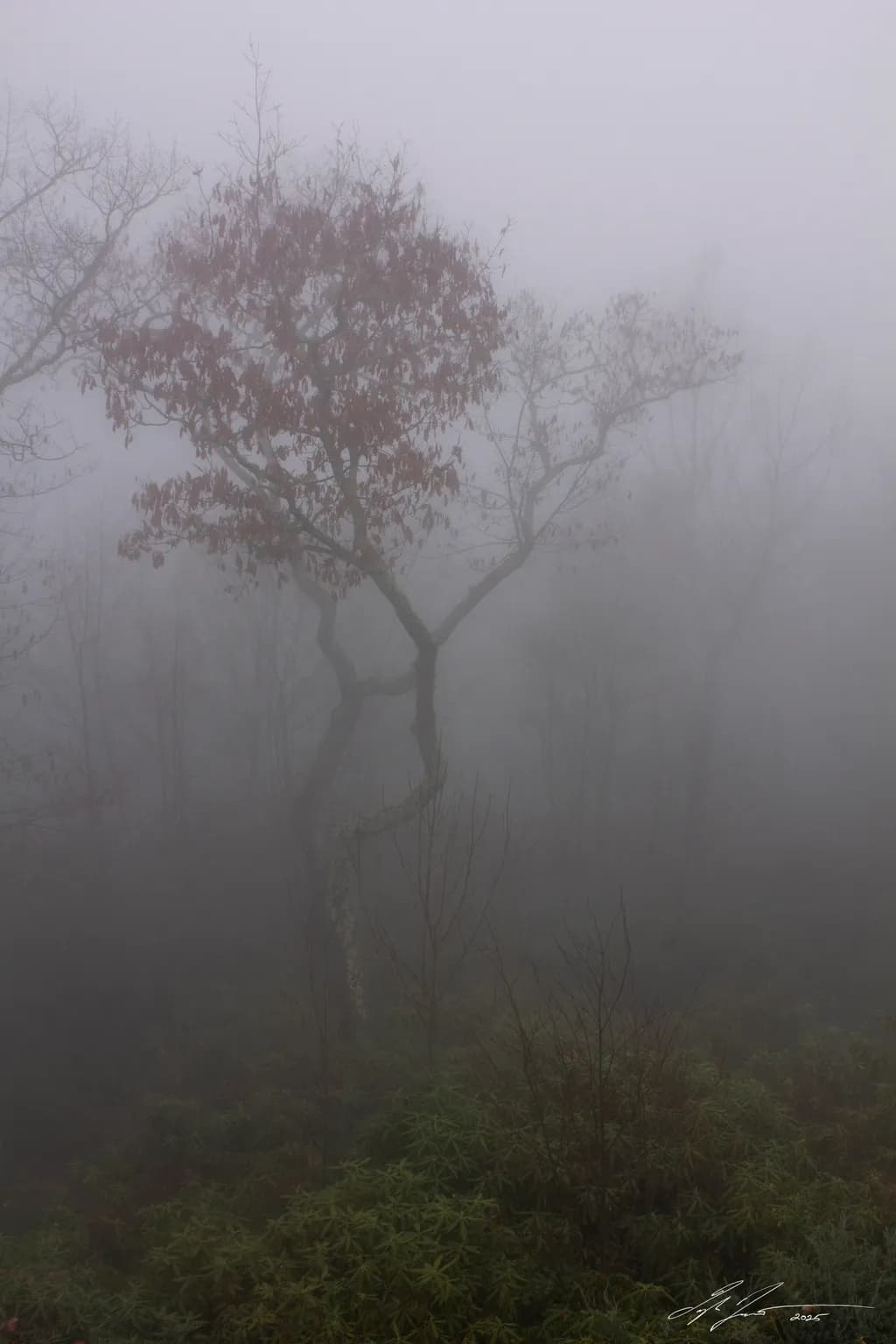 What Lies Beyond