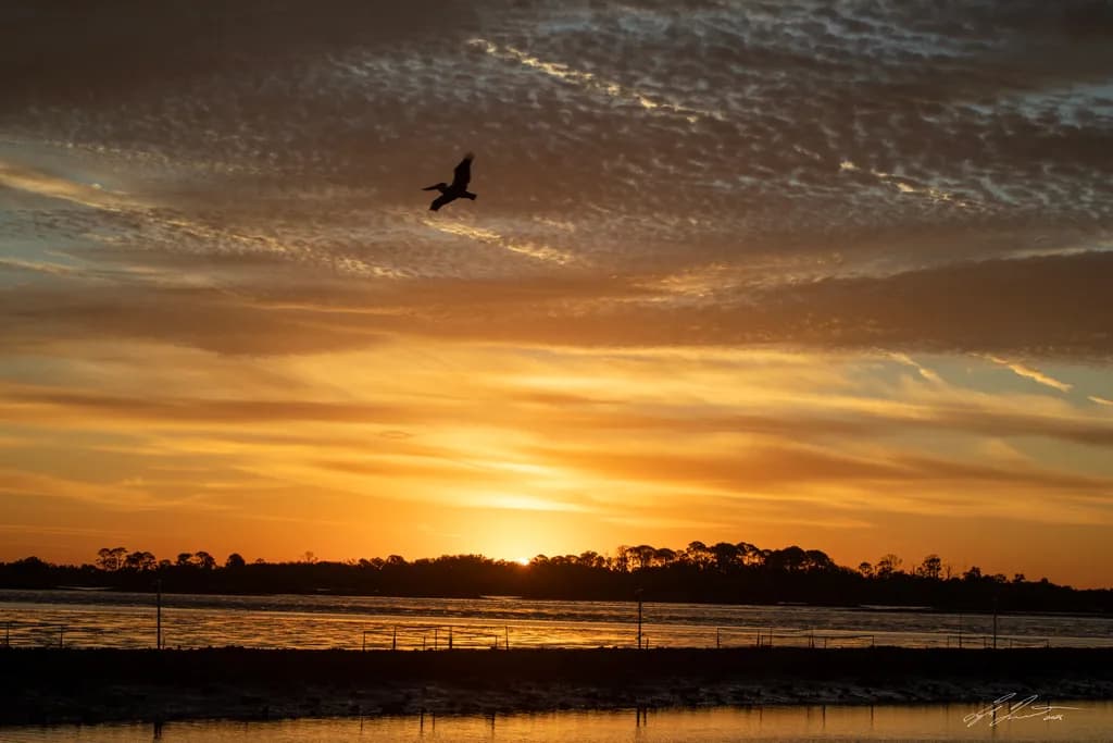 Cedar Key Sunrise