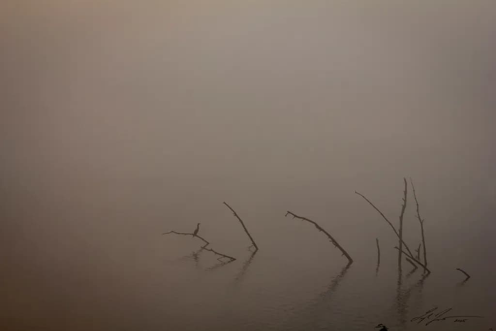 Loneliness