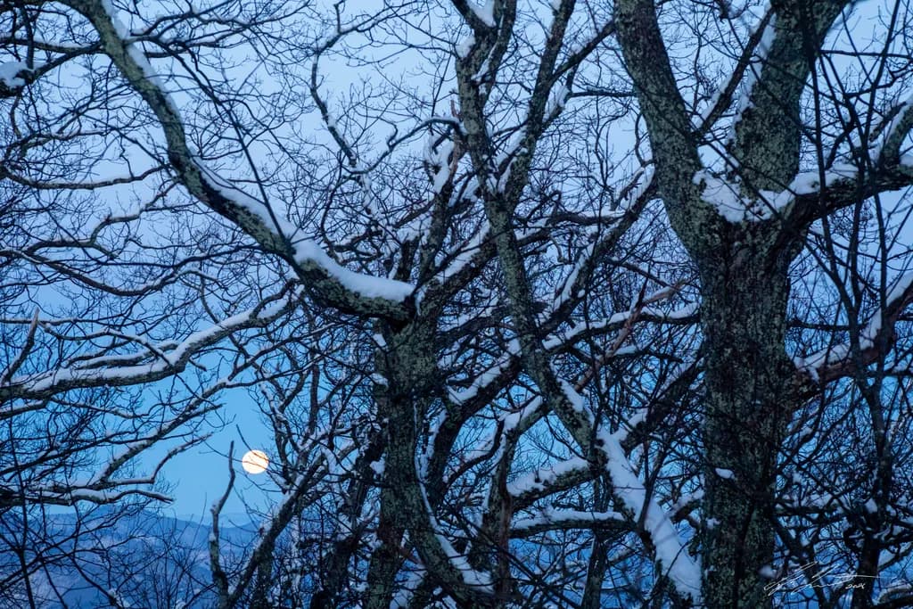 Full Moon Rise