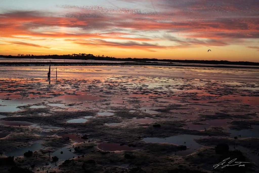 Cedar Key Sunrise