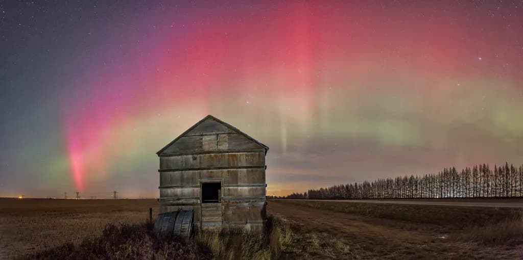 Aurora 19