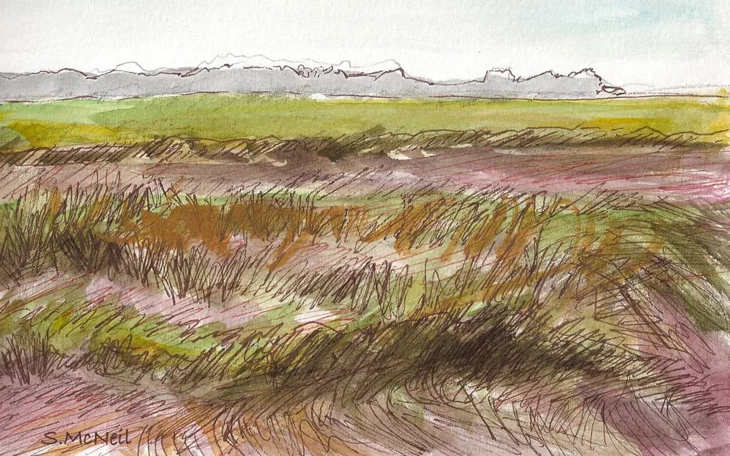 Marshland Serenity