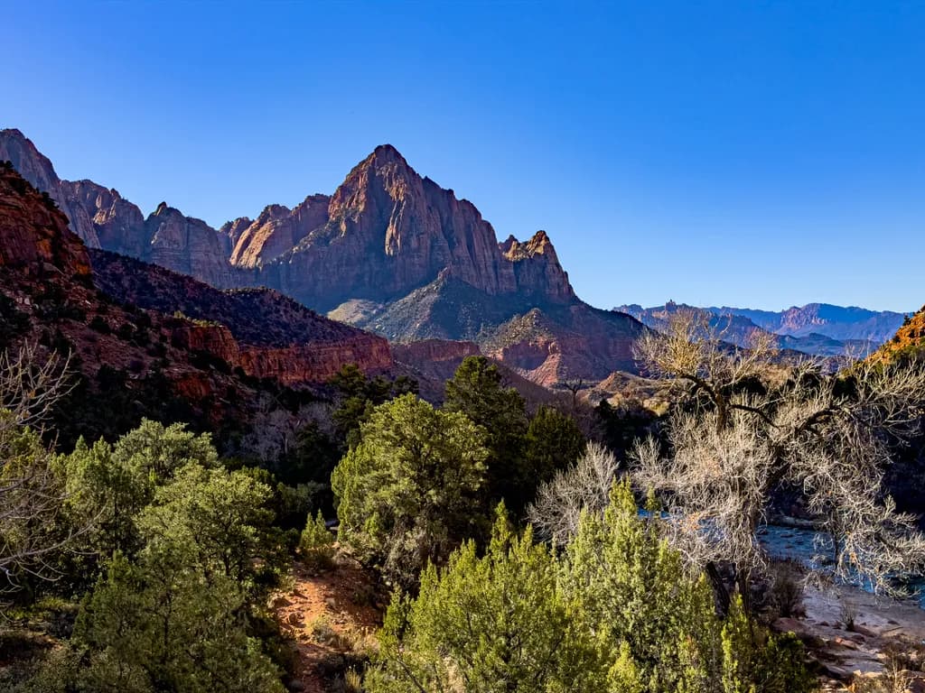 Zion Mountain View