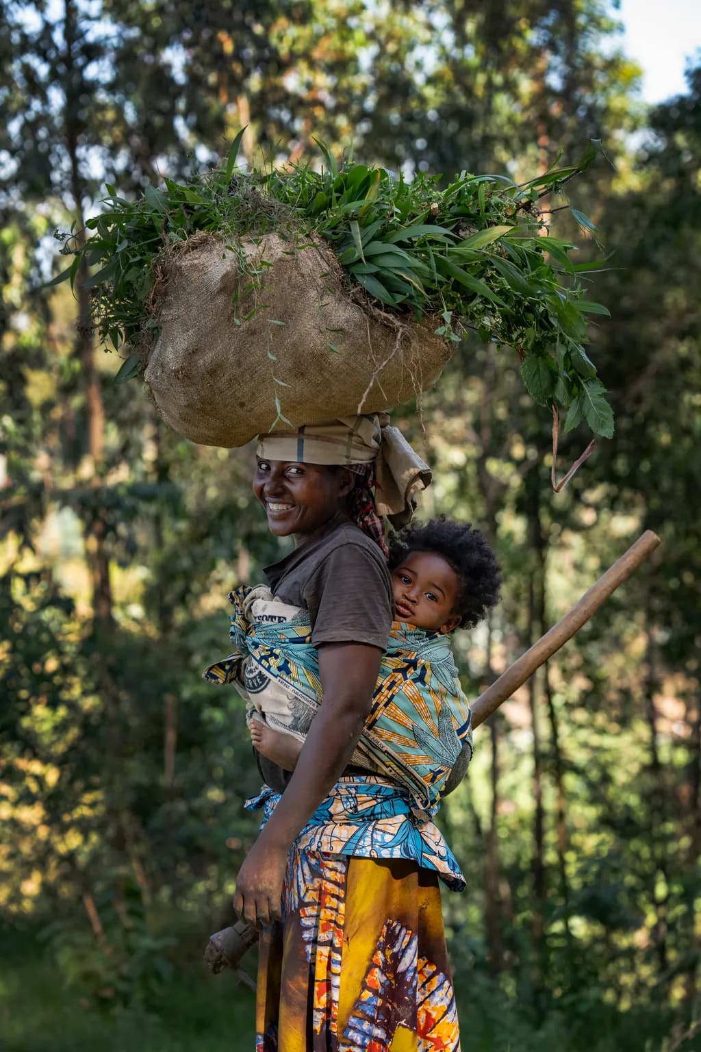 Carrying the Forest Home