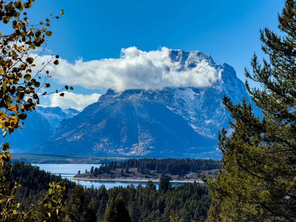Mountain View with Lake and Trees