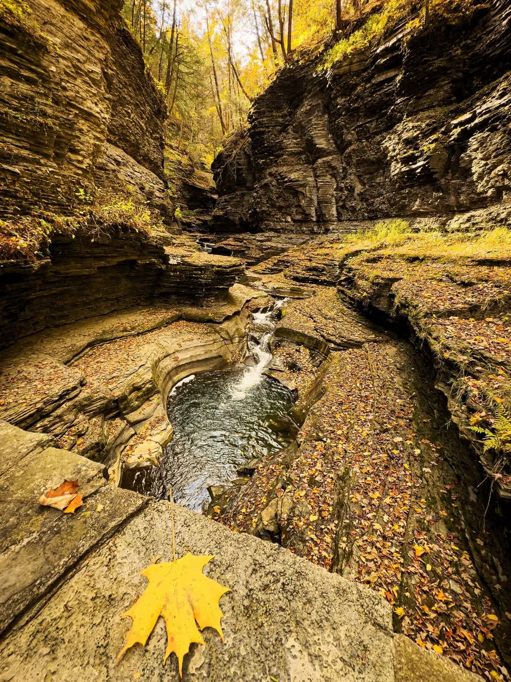 Autumn Hollow