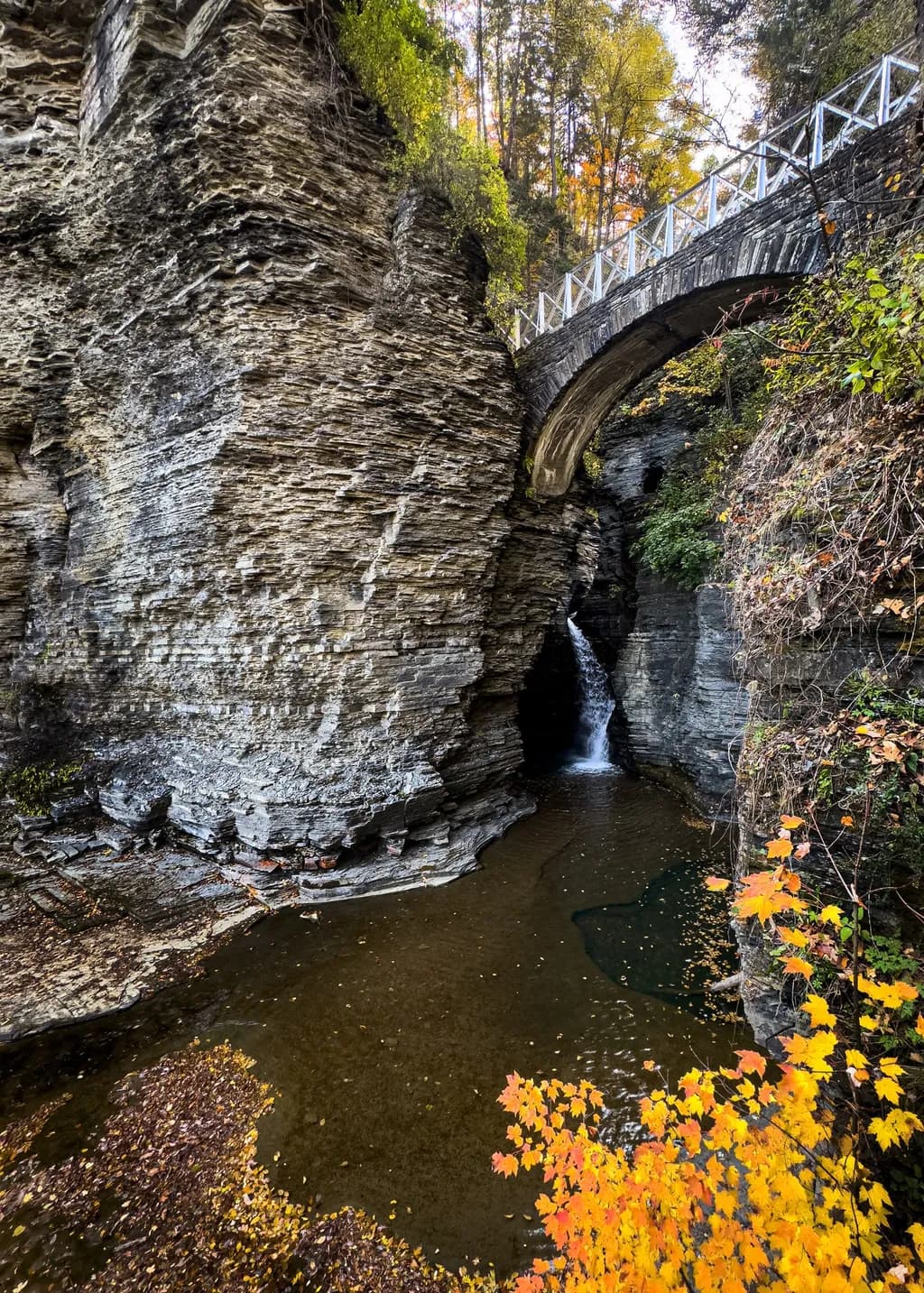 Autumn Bridge Falls