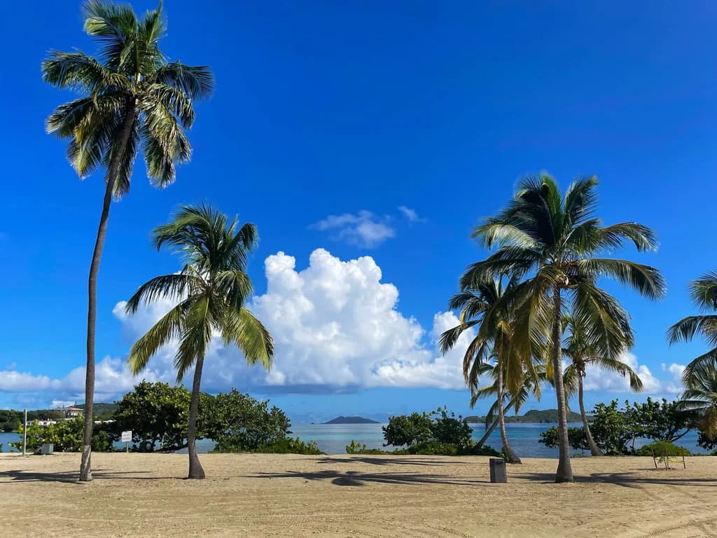 Tropical Ease