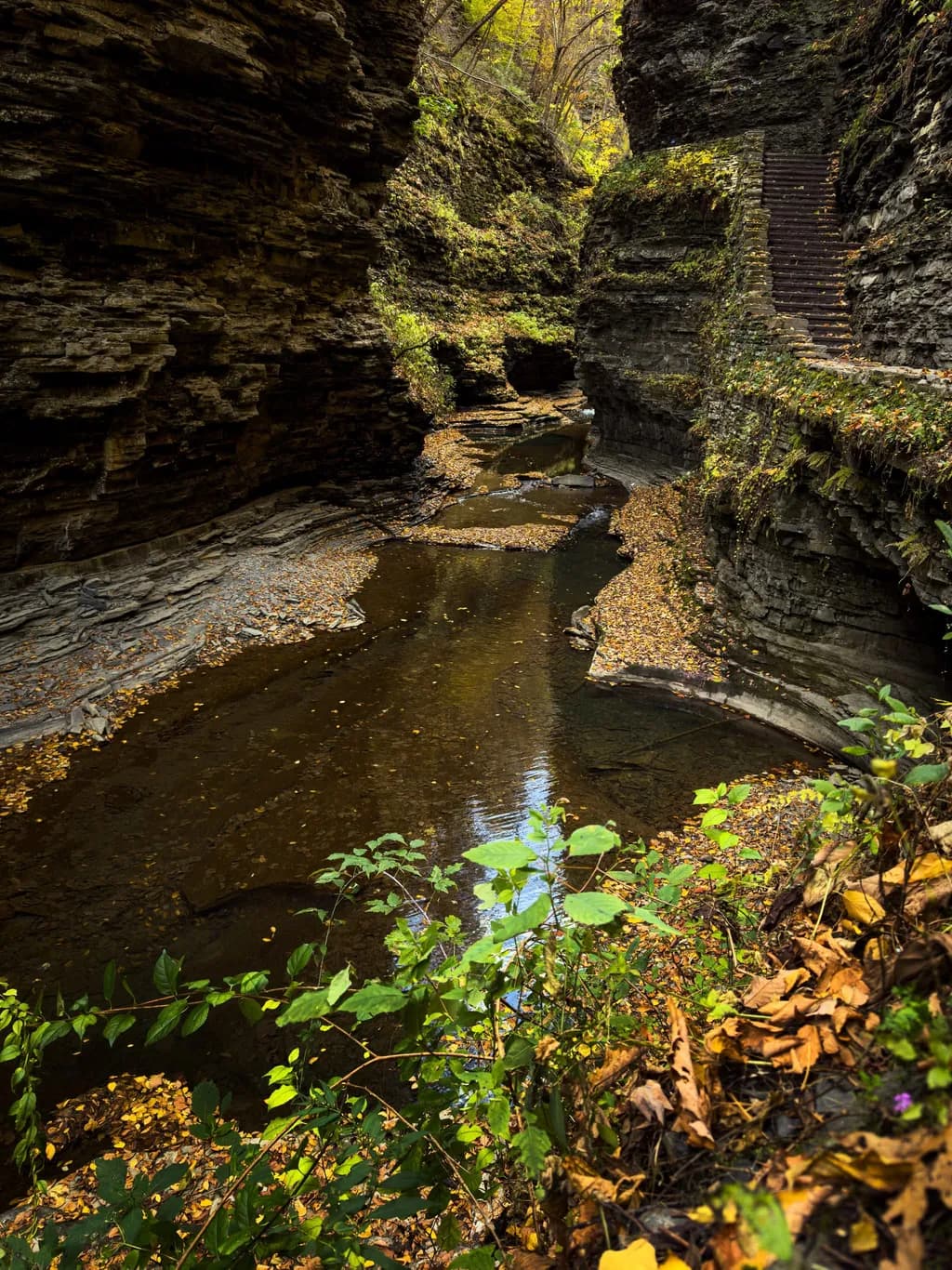 Hidden Gorge Pathway