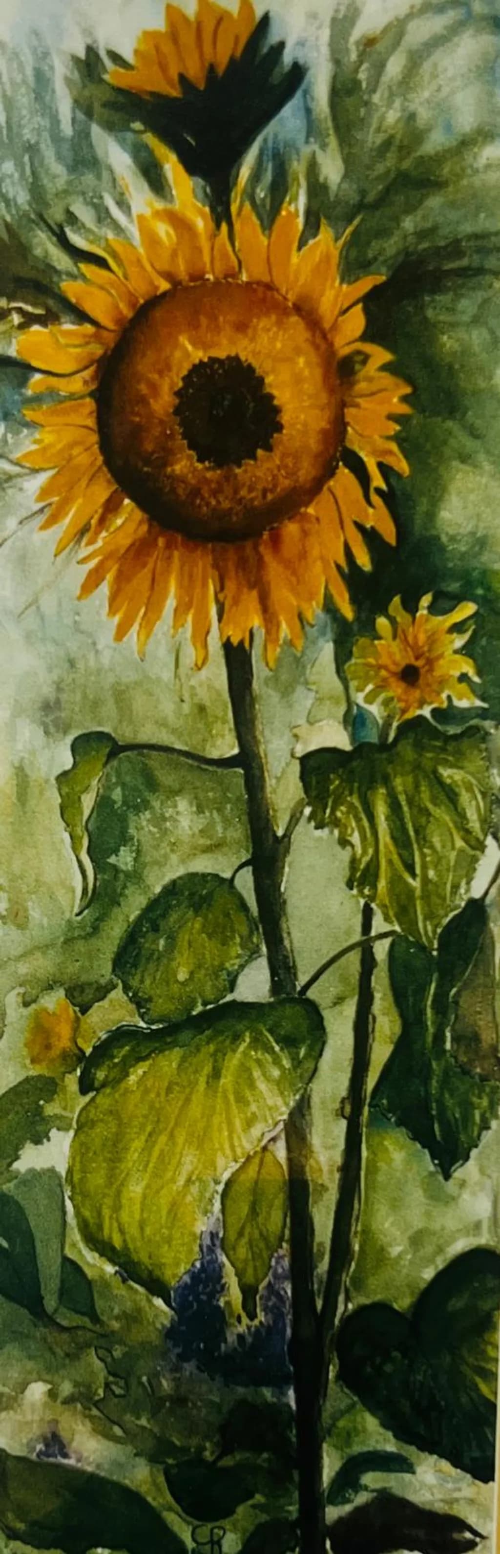 Sunflower -Watercolour- (Sold)