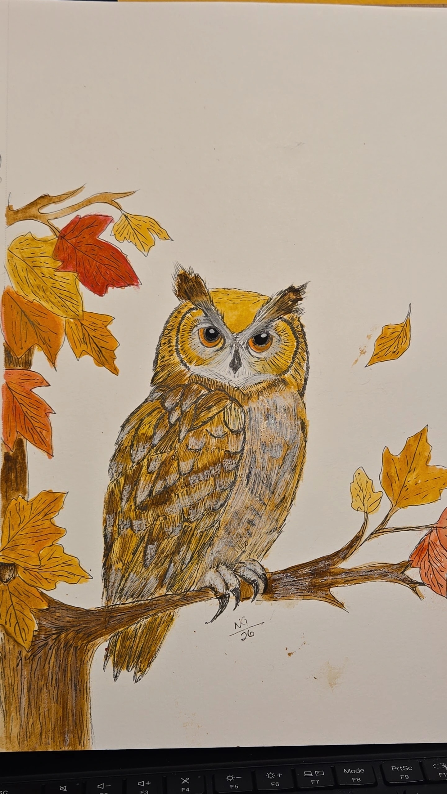Autumn Owl Perch