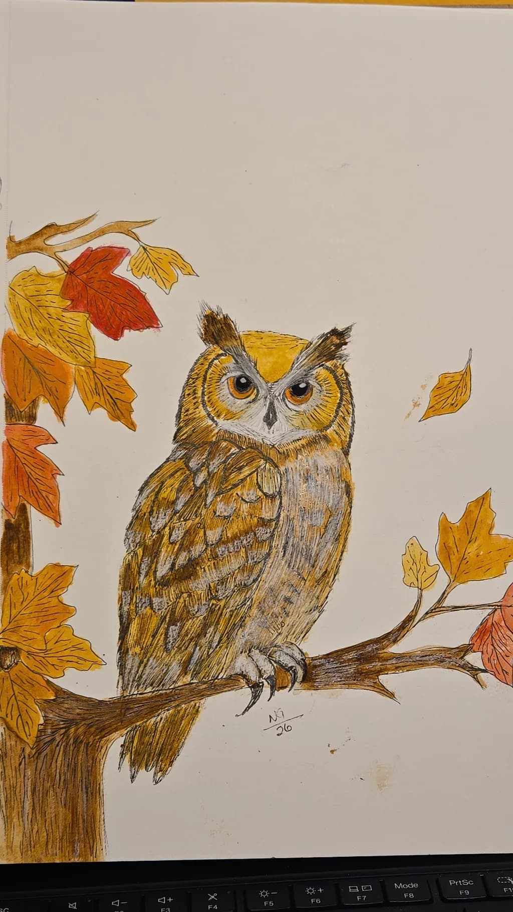 Autumn Owl Perch