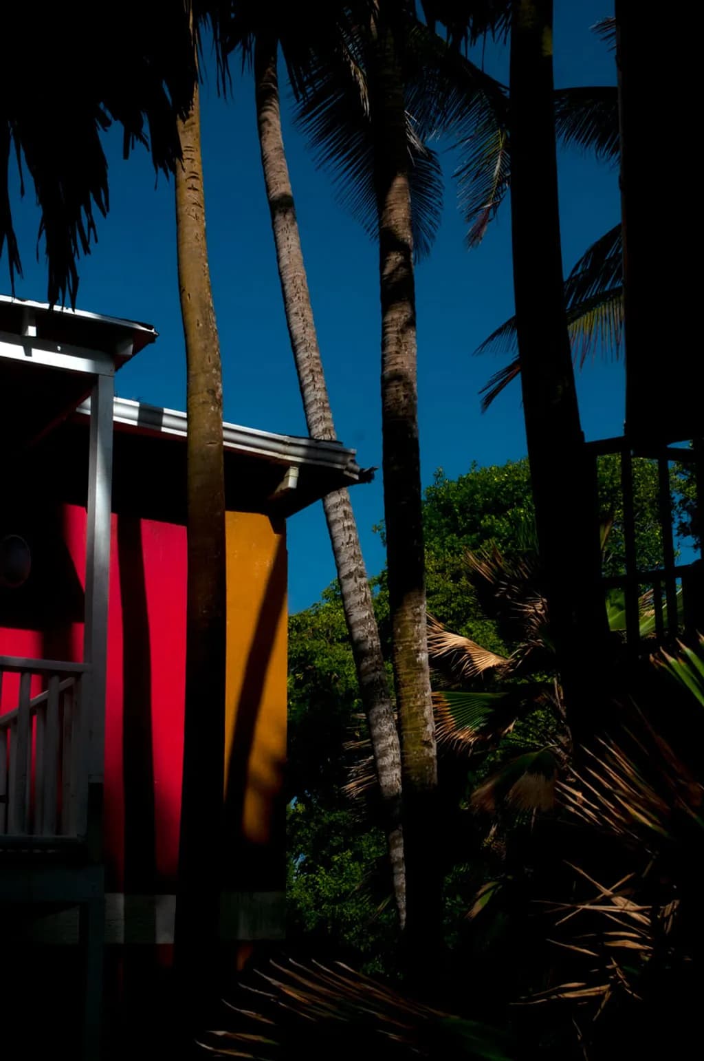 Tropical Shadows