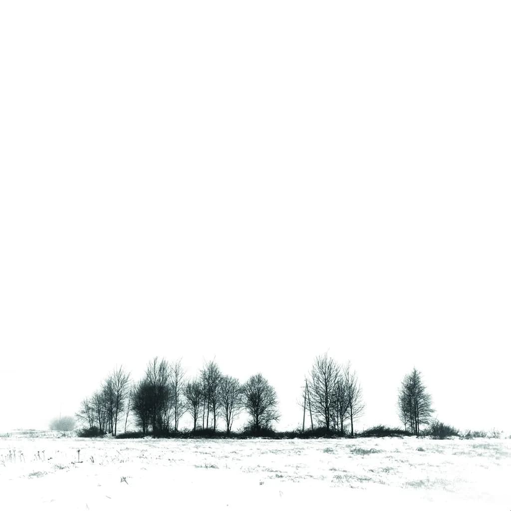 Winter Landscape Trees