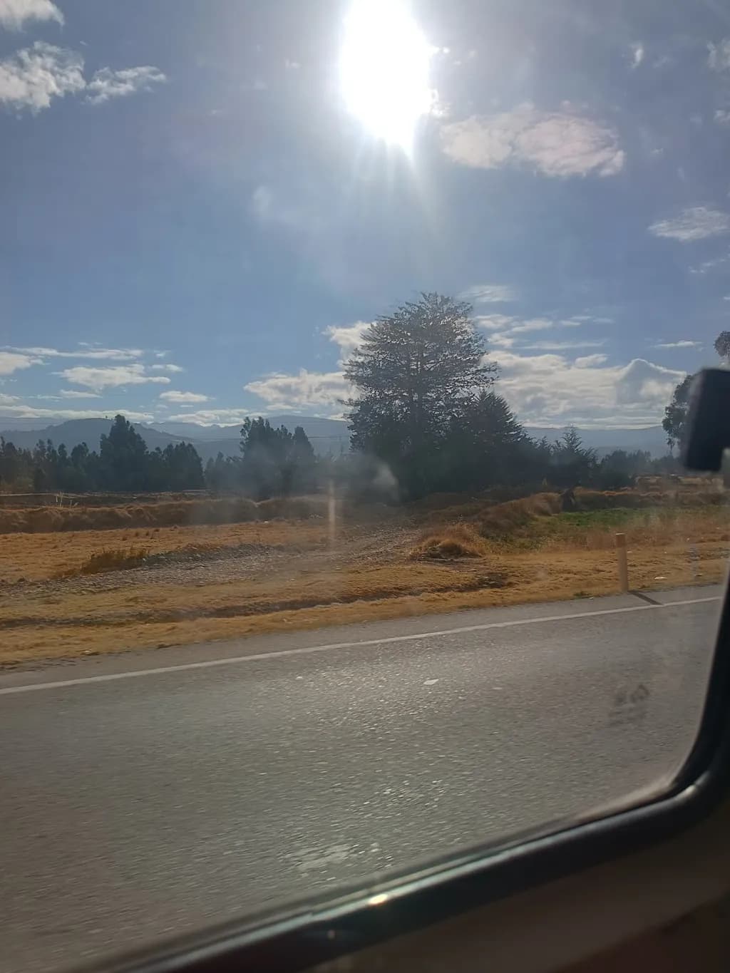 Sunny Roadside Landscape