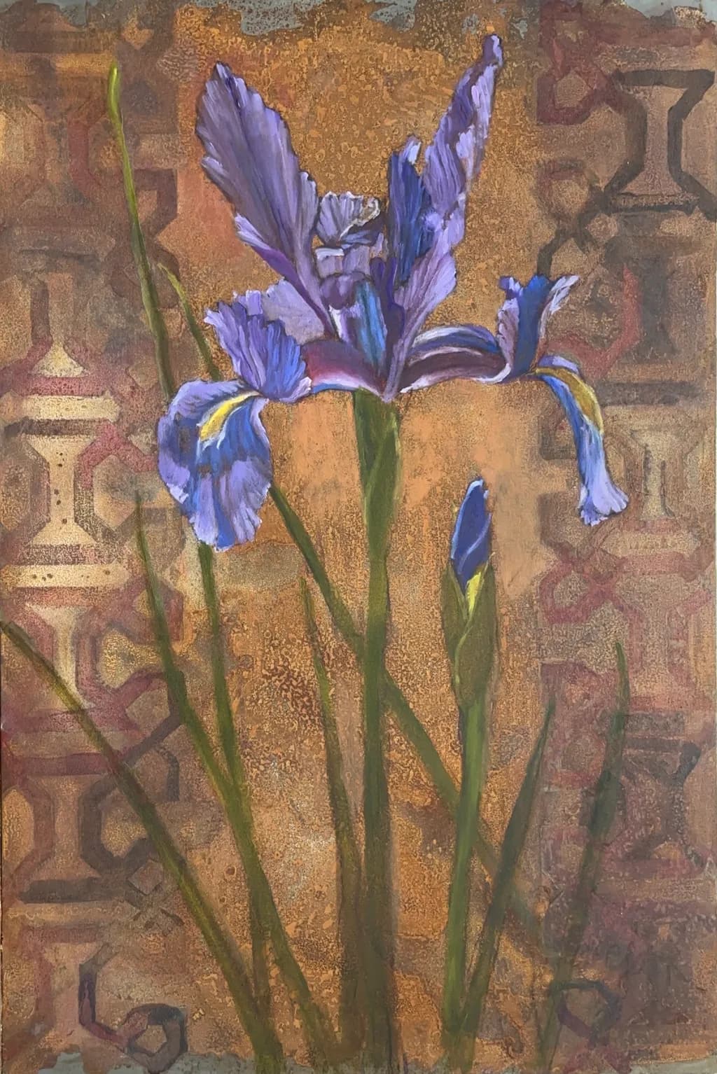 Iris Bloom