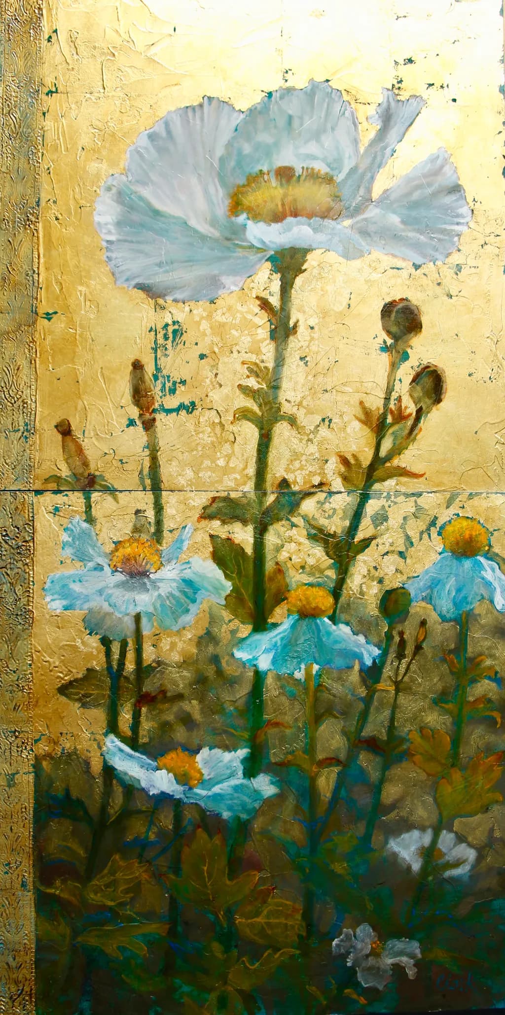 Golden Poppy