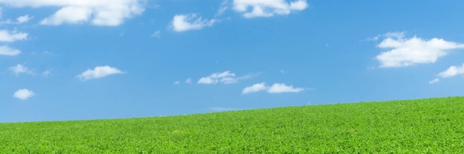 Profilbanner