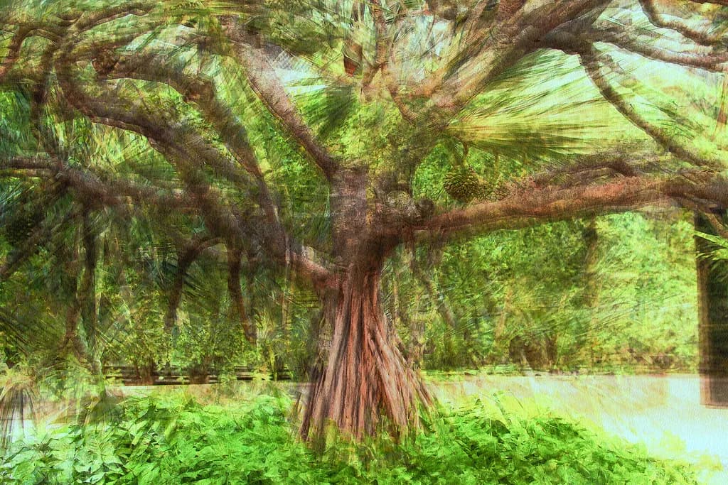 Majestic Tree