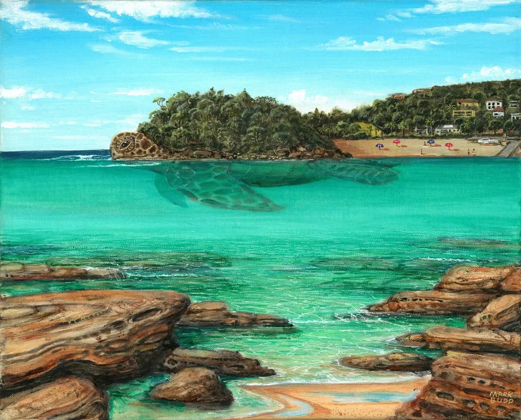 Shelly Beach Turtle