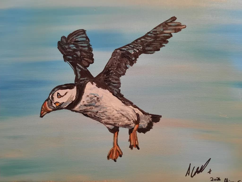 Flying Puffin