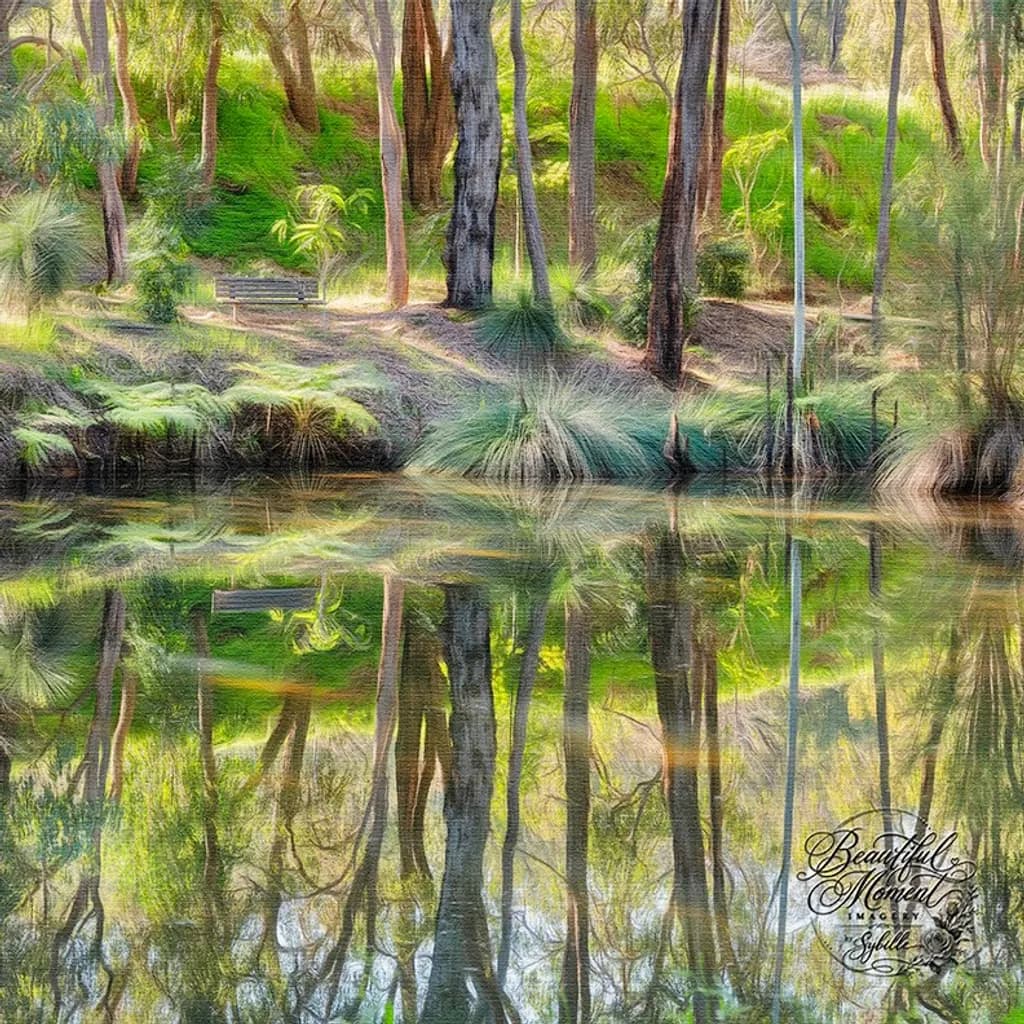 Reflections