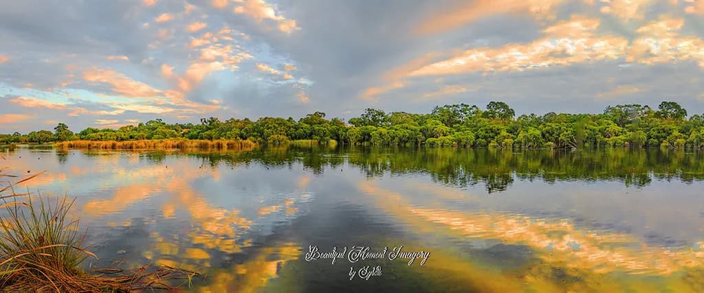 Goollelal Reflection