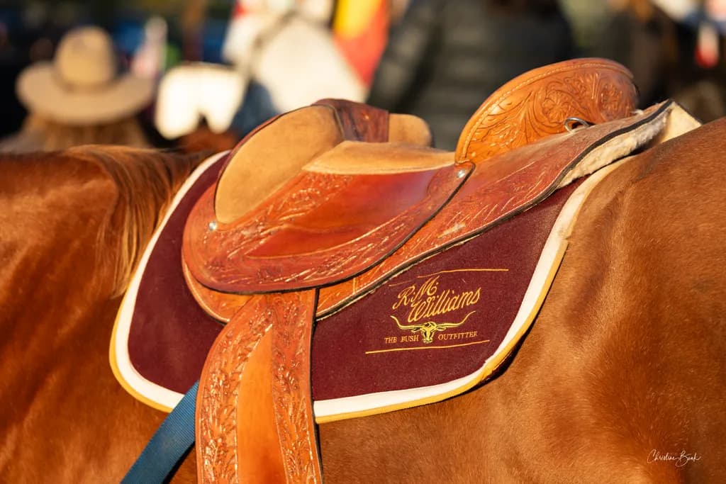 Western Saddle Detail